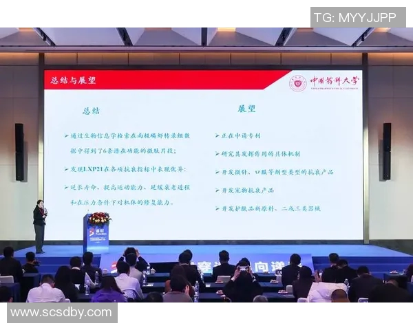 星空体育详细披露拜仁球员伤停情况及恢复进展分析