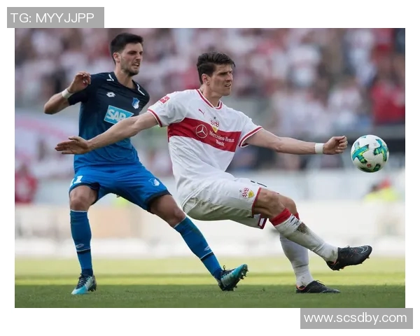 史图加特主场擒汉堡，德甲新秀表现稳步提升